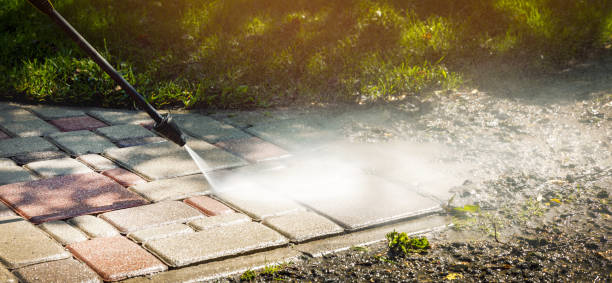 Trusted Lamar, SC Pressure Washing Services Experts